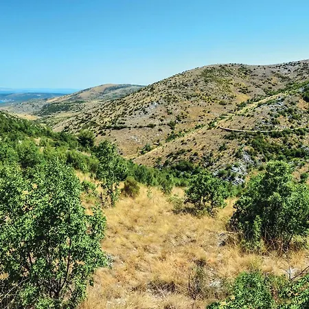 Pet Friendly In * Plano