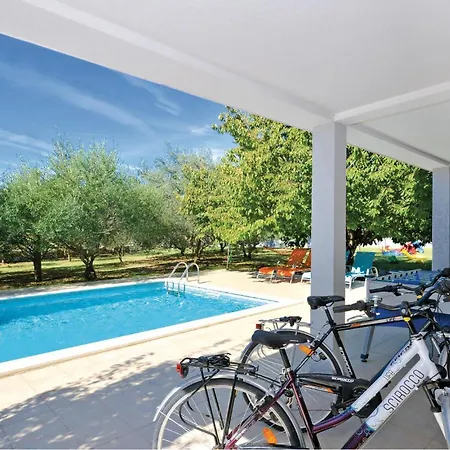 Pet Friendly In * Plano