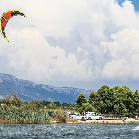 Pet Friendly In * Plano