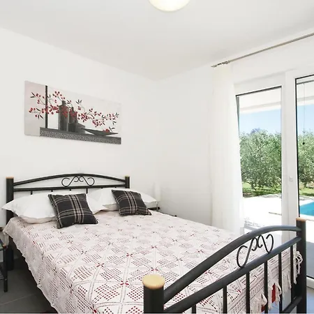 Pet Friendly In * Plano