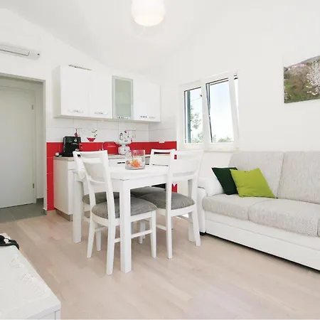 Pet Friendly In Plano