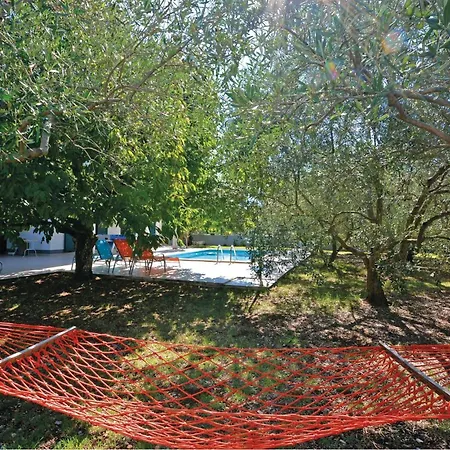 Pet Friendly In Vikendica Plano