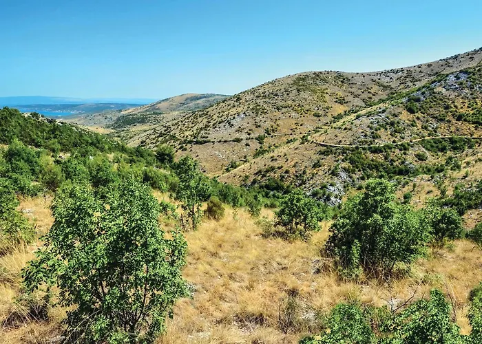 Pet Friendly In * Plano