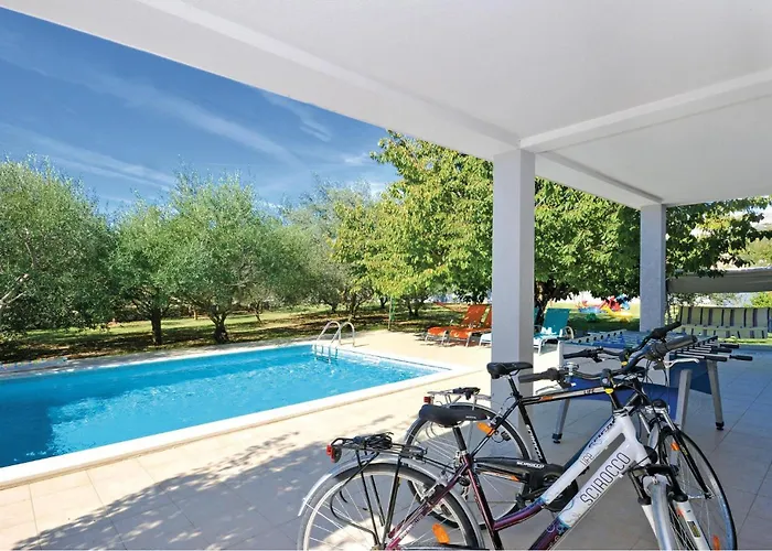 Pet Friendly In * Plano