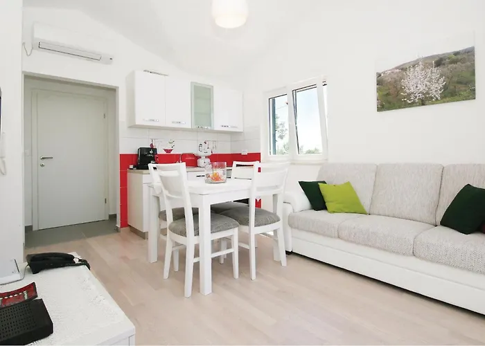 Pet Friendly In Plano